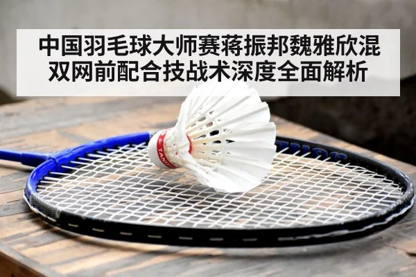 中国羽毛球大师赛蒋振邦魏雅欣混双网前配合技战术深度全面解析